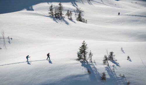 Artikelbild zu Artikel Skitourengehen, Schneeschuhwandern und Rodeln – sicher, naturfreundlich und mit Spaß